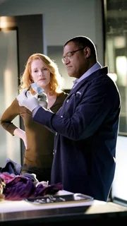 Ein Mann wurde verkohlt in den &Uuml;berresten seines Heims gefunden, ein Selbstmord kann nicht ausgeschlossen werden. Ray Langston (Laurence Fishburne) und Catherine (Marg Helgenberger) kommen allerdings schnell zu einem anderen Ergebnis...