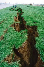 Das schwerste Erdbeben in Mitteleuropa seit 1756 versetzt in der Nacht zum 13. April auch die Rheinländer in Angst und Schrecken. Ein tiefer Spalt zieht sich am 14.04. als Folge eines Erdbeben am 13. April entlang einer Uferwiese an der Maas in Roermond. Das Beben hatte die Magnitude 5,9 auf der Richterskala und war damit das stärkste Erdbeben in Mitteleuropa seit 1756. Das schwerste Erdbeben in Mitteleuropa seit 1756 versetzt in der Nacht zum 13. April auch die Rheinländer in Angst und Schrecken. Ein tiefer Spalt zieht sich am 14.04. als Folge eines Erdbeben am 13. April entlang einer Uferwiese an der Maas in Roermond. Das Beben hatte die Magnitude 5,9 auf der Richterskala und war damit das stärkste Erdbeben in Mitteleuropa seit 1756.