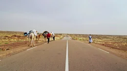 Abenteuer Mauretanien Zu Fuss durch die Sahara Mit Kamelen unterwegs durch die W&uuml;ste  Copyright: SRF/OneGate