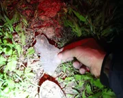 Houston, Texas, USA: Ein Metallfragment an einer Absturzstelle bei der Grist Mill.