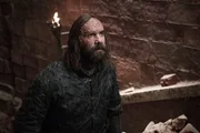 Sandor 'The Hound' Clegane (Rory McCann)