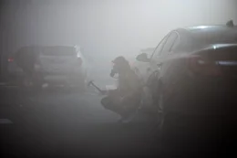 Nach einer gef&auml;hrlichen Begegnung mit einem bissigen Hund in den verwaisten Stra&szlig;en von Paris, hat sich Anna (Olga Kurylenko) provisorisch mit einem Hammer bewaffnet.
