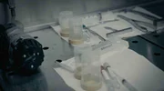 Sadistischer Serienmörder Sadistischer Serienmörder