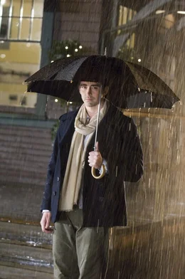 Seitdem er wegen krimineller Machenschaften eine Haftstrafe abgesessen hat, lebt Roman (Lee Pace) bei seinem ausgeglichenen Bruder und dessen liebevoller Frau. Mit deren Gl&uuml;ck kann er nur schwer umgehen ...