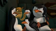 L-R: Kowalski, Mort, Rico, Private, Skipper