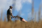 Naturraummanager Markus Ehrenpaar (Naturschutzbund Steiermark) bei pflanzenschonender Mahd in Aug Radisch.