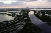 Das an der Grenze zwischen Brasilien, Bolivien und Paraguay liegende Pantanal ist das größte Feuchtgebiet der Erde. Es beherbergt eine unglaubliche Vielfalt an Pflanzen und Tieren. Das an der Grenze zwischen Brasilien, Bolivien und Paraguay liegende Pantanal ist das größte Feuchtgebiet der Erde. Es beherbergt eine unglaubliche Vielfalt an Pflanzen und Tieren.