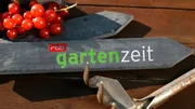 RUNDFUNK BERLIN-BRANDENBURG rbb GARTENZEIT Fernsehen. - Logo der Sendung.