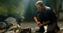 Owen Grady (Chris Pratt)