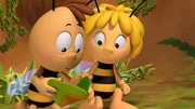 "Die Biene Maja", "Die Verschwörung." Willi und Maja finden das Notizbuch von Richter Bienenwachs und entnehmen seinen Aufzeichnungen, dass er die Königin vom Thron stürzen und selbst die Macht im Bienenstock übernehmen will. Die beiden ziehen Frau Kassandra ins Vertrauen, doch kurz darauf werden sie verhaftet und ins Gefängnis geworfen. Maja ist entsetzt, dass Frau Kassandra anscheinend gemeinsame Sache mit dem Richter macht. Sie flieht aus dem Gefängnis, um die Königin zu warnen. Sie berichtet ihr von der Verschwörung gegen sie und beide fliehen. Zusammen verbringen sie eine Nacht in der Wiese, doch am Morgen kommt Willi zu ihnen, begleitet von zwei Wachen, und lässt die Königin und Maja erneut festnehmen. Maja glaubt, dass der Richter nun auch noch Willi auf seine Seite gezogen hat, doch zum Glück irrt sie.
