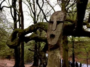 Die ersten Angelsachsen waren Heiden. Auch als sie zum Christentum konvertierten, praktizierten einige noch weiter den heidnischen Glauben. Die ersten Angelsachsen waren Heiden. Auch als sie zum Christentum konvertierten, praktizierten einige noch weiter den heidnischen Glauben.