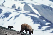 PLANET EARTH – MOUNTAINS