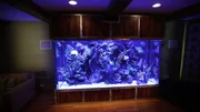 Aquarium