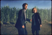 L-R: Agent Fox Mulder (David Duchovny), Agent Dana Scully (Gillian Anderson) L-R: Agent Fox Mulder (David Duchovny), Agent Dana Scully (Gillian Anderson)