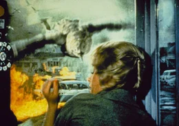 Eine scheinbar gew&ouml;hnliche Seem&ouml;ve hat es auf Melanie Daniels (Tippi Hedren) abgesehen ...