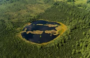 Unsere Moore liegen wie Inseln in unserer Kulturlandschaft. Letzte Reste einer Natur, die vor 10.000 Jahren weite Fl&auml;chen Europas pr&auml;gte. W&auml;hrend sich das Landschaftsbild seit dieser Zeit fast &uuml;berall in Mitteleuropa extrem ver&auml;nderte, erlauben die wenigen Moore, die der Trockenlegung und Abtorfung entgingen, einen Blick in eine l&auml;ngst vergangene Zeit.