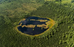 Unsere Moore liegen wie Inseln in unserer Kulturlandschaft. Letzte Reste einer Natur, die vor 10.000 Jahren weite Fl&auml;chen Europas pr&auml;gte. W&auml;hrend sich das Landschaftsbild seit dieser Zeit fast &uuml;berall in Mitteleuropa extrem ver&auml;nderte, erlauben die wenigen Moore, die der Trockenlegung und Abtorfung entgingen, einen Blick in eine l&auml;ngst vergangene Zeit.