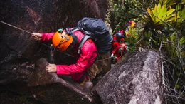 Abstieg in die Unterwelt: Durch einen Canyon klettert der Bioakustiker Michel Andr&eacute; mit dem Rest des Teams bis zum Eingang des H&ouml;hlensystems hinab. Die Felsen sind steil und rutschig, jeder Schritt verlangt Vorsicht: Im Notfall w&auml;re das Team hier auf sich allein gestellt.
