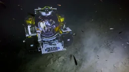 Die Tauchboote der OceanExplorer k&ouml;nnen bis zu 1000 Meter tief tauchen.