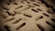 In Amarna werden unzählige einfach bestattete Skelette von jungen Menschen gefunden, die wohl einer Seuche zum Opfer fielen.