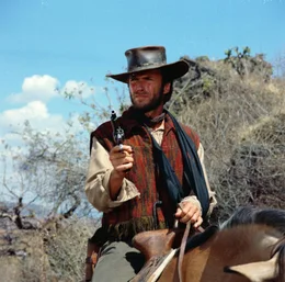 Der amerikanische S&ouml;ldner Hogan (Clint Eastwood) will sich den Goldschatz der Franzosen unter den Nagel rei&szlig;en, doch die Bekanntschaft mit einer Frau bringt ihn von seinem eigentlichen Plan ab ...