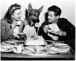 Patricia Martin (Priscilla Lane, l.); Barry Kane (Robert Cummings, r.)