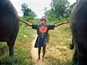 Macun, der Elefantenfänger im Yok Don-Nationalpark in Ban Don. Macun, der Elefantenfänger im Yok Don-Nationalpark in Ban Don.