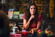 Ist froh, dass sich das Team durch vereinte Kr&auml;fte doch in seiner Konstellation vor der neuen Chefin beweisen kann: Special Agent Kensi Blye (Daniela Ruah).