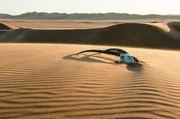Das Leben in der Namib-Wüste ist für Tiere und Pflanzen eine Herausforderung: Temperaturen von bis zu 50 Grad und eine jährliche Niederschlagsmenge von nur wenigen Millimetern machen ihnen zu schaffen.