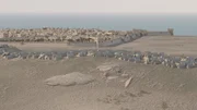 Bollwerk im Heiligen Land: 1189 belagern die Kreuzfahrer die Hafenfestung Akkon am &ouml;stlichen Mittelmeer.