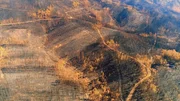 Portugal - Von einem Waldbrand verbrannte Landschaft in der Region Pedrógão Grande, Portugal. (National Geographic)