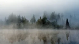 Prebersee: Indirektes Schie&szlig;en auf Wasseroberfl&auml;che.