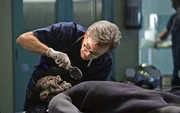Pathologe Dr. Sid Hammerback (Robert Joy) untersucht eine Wasserleiche und findet heraus, dass diese vergiftet wurde.