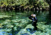 Herbert Nitsch konzentriert sich auf einen Tauchgang im Cenote Angelita bei Tulum, Bundesstaat Quintana Roo - Mexiko. Herbert Nitsch konzentriert sich auf einen Tauchgang im Cenote Angelita bei Tulum, Bundesstaat Quintana Roo - Mexiko.