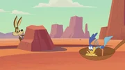 v.li.: Wile E. Coyote, Road Runner
