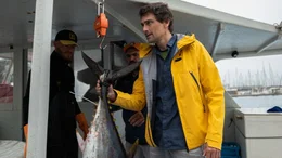 Im Mittelmeer wurde der Thunfisch jahrelang &uuml;berfischt. Mittlerweile haben sich die Best&auml;nde erholt. Was k&ouml;nnen wir aus dieser Erfolgsgeschichte lernen?