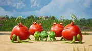 Irgendwie sind die Tomatodons den Erbs-Rexen nicht geheuer. Irgendwie sind die Tomatodons den Erbs-Rexen nicht geheuer.