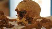 Mittels DNA können die Forscher Rückschlüsse auf die Anfänge der Steinkreisrituale schließen.