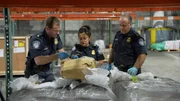 CBP Agriculture Specialists examine a suspicious green powder at Miami International Airport. (National Geographic/Lucky 8 TV) CBP Agriculture Specialists examine a suspicious green powder at Miami International Airport. (National Geographic/Lucky 8 TV)