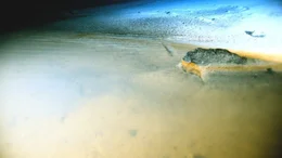 Ein Strand in 1600 Meter Tiefe. Unter dem normalen Meerwasser wabert hochkonzentrierte Salzl&ouml;sung.