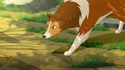 Lassie hat die Spur des angeblichen Seeungeheuers aufgenommen.