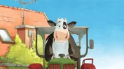 Platz da! Hier kommt Lieselotte, die erste Traktor-Rennfahrerkuh!