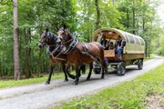 Planwagen-Fahrt mit eigenen Kaltblütern.