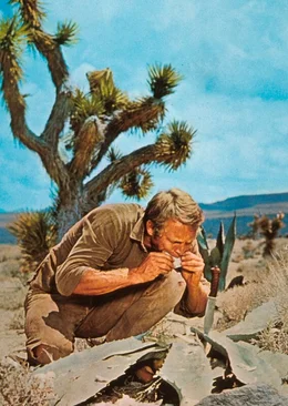 In der W&uuml;ste nutzt Nevada Smith (Steve McQueen) seine Kenntnis der Wildnis, um an Nahrung zu kommen.