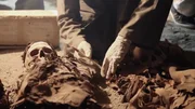 Eine altägyptische Mumie wird forensisch untersucht. Eine altägyptische Mumie wird forensisch untersucht.
