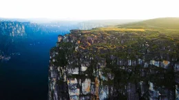 Insel im Himmel: Auf dem Auyan-Tepui, einem einsamen Tafelberg Venezuelas, hat sich eine eigenst&auml;ndige Tier- und Pflanzenwelt entwickelt. Ein Forschungsteam macht sich auf den Weg, um sie n&auml;her zu untersuchen.
