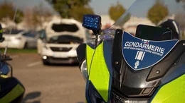 In Frankreich werden gesch&auml;tzt nur 60 Prozent der gestohlenen Autos wiedergefunden.