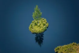 Die Luftaufnahme eines Moorsees: allerdings sind auch diese letzten Wildnisgebiete bedroht, denn die Trockenlegung der Moore geht weiter ...