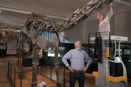 Das Pal&auml;ontologen-Team um Tanja Wintrich erforscht an der Uni Bonn das Wachstum der Dinosaurier. Bis heute gibt die Gr&ouml;&szlig;e dieser Urzeit-Tiere der Menschheit R&auml;tsel auf.
