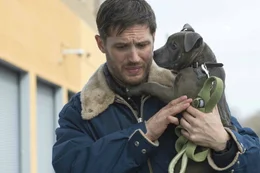 Bob Saginowski (Tom Hardy) ist ein einfacher, harmloser Typ, der in der Bar seines Onkels Marv hinter dem Tresen arbeitet, sich aber aus all den schmutzigen Dingen, die auch vor seinen Augen gedreht werden, tunlichst heraush&auml;lt. Doch eines Tages, als er sich eines herrenlosen Hundes annimmt, &auml;ndert sich dies ...